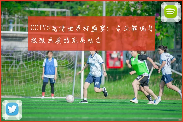 CCTV5高清世界杯盛宴：专业解说与极致画质的完美结合