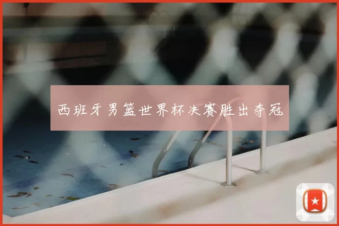 西班牙男篮世界杯决赛胜出夺冠