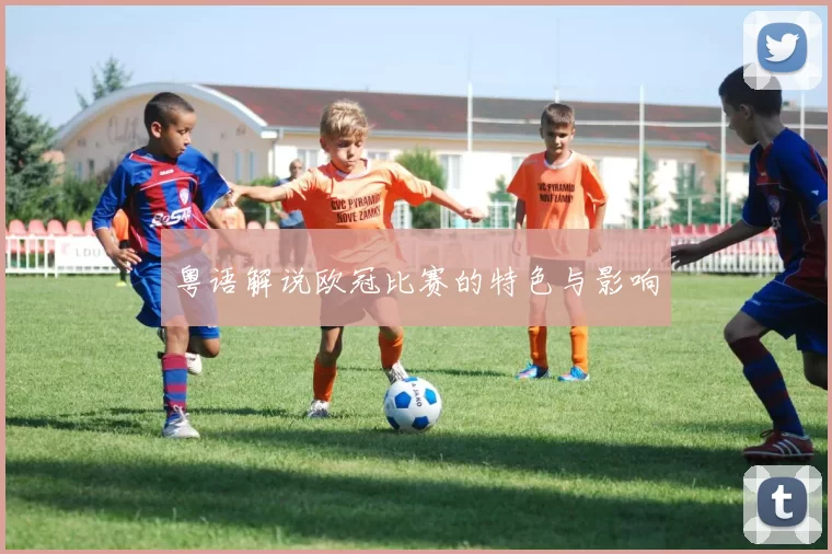 粤语解说欧冠比赛的特色与影响