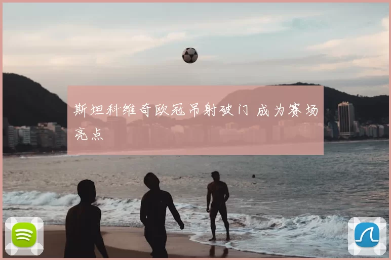 斯坦科维奇欧冠吊射破门 成为赛场亮点