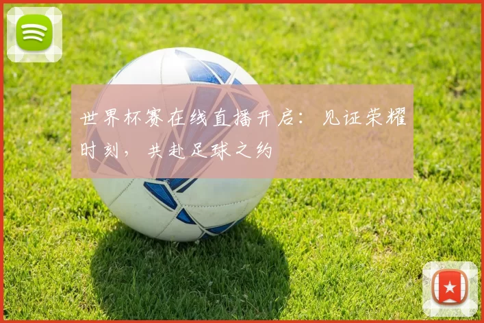 世界杯赛在线直播开启：见证荣耀时刻，共赴足球之约
