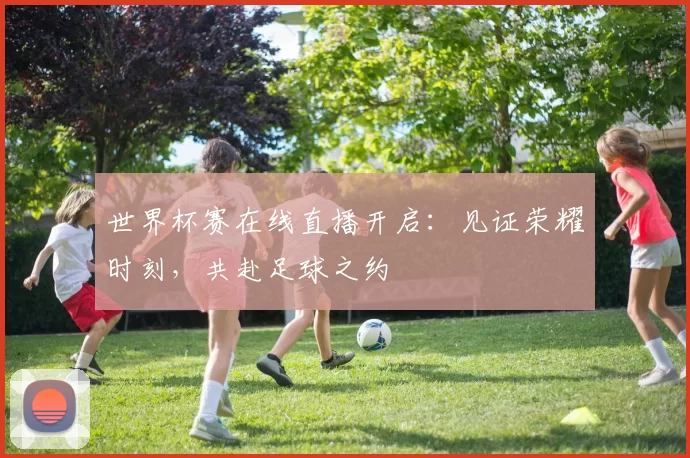 世界杯赛在线直播开启：见证荣耀时刻，共赴足球之约