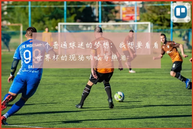 一个普通球迷的梦想：我想要看看世界杯的现场呐喊与热泪