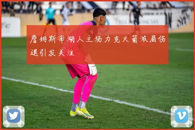 詹姆斯率湖人主场力克火箭浓眉伤退引发关注