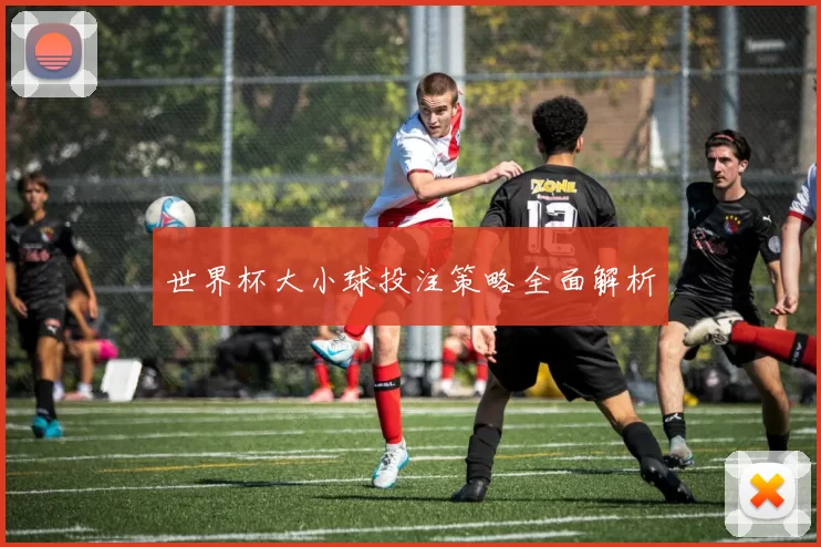 世界杯大小球投注策略全面解析