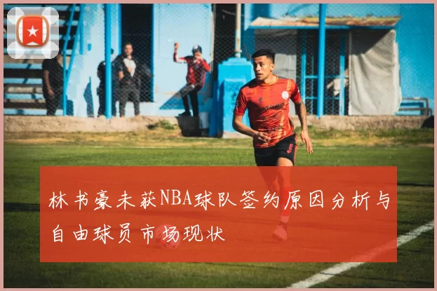 林书豪未获NBA球队签约原因分析与自由球员市场现状