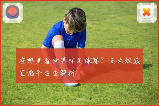 在哪里看世界杯足球赛？五大权威直播平台全解析