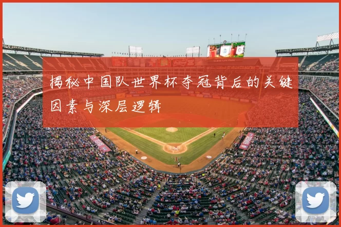 揭秘中国队世界杯夺冠背后的关键因素与深层逻辑