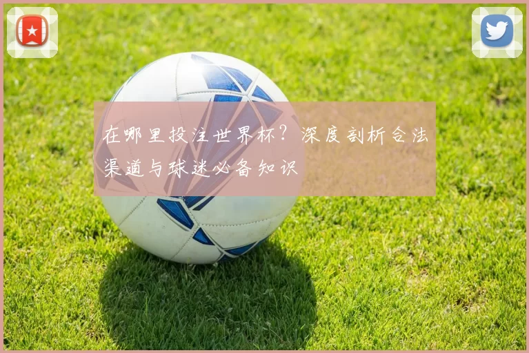 在哪里投注世界杯?深度剖析合法渠道与球迷必备知识