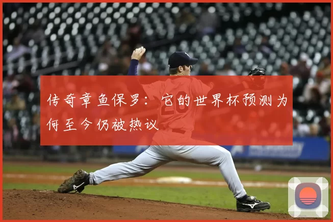 传奇章鱼保罗：它的世界杯预测为何至今仍被热议