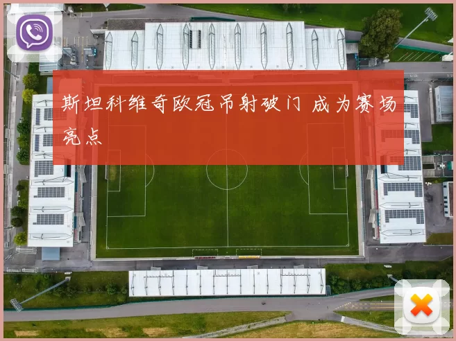 斯坦科维奇欧冠吊射破门 成为赛场亮点