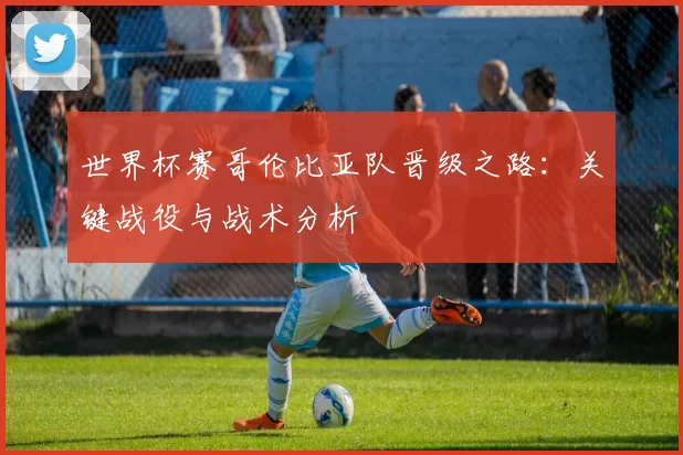 世界杯赛哥伦比亚队晋级之路：关键战役与战术分析