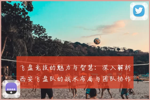 飞盘竞技的魅力与智慧：深入解析西安飞盘队的战术布局与团队协作