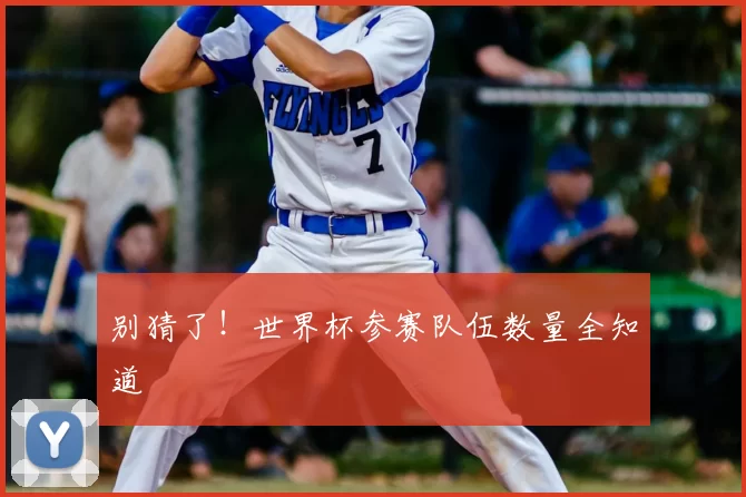 别猜了!世界杯参赛队伍数量全知道