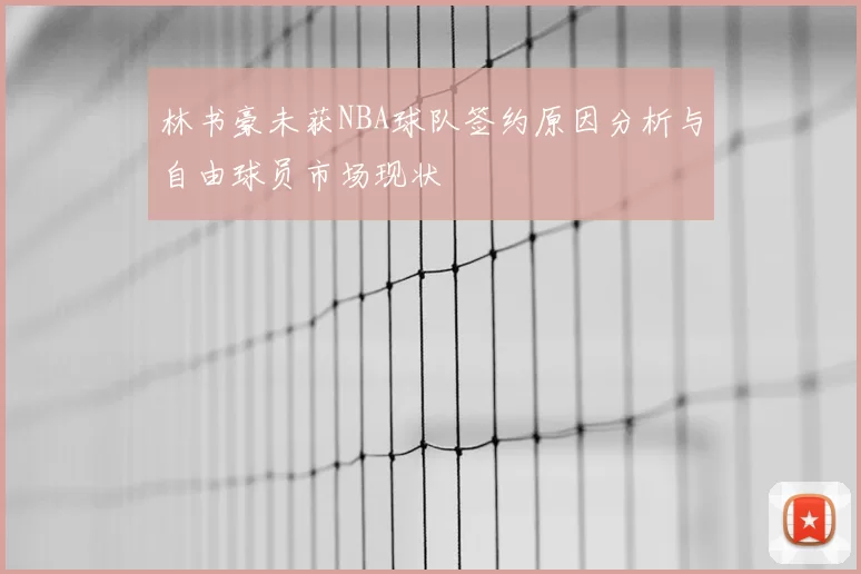 林书豪未获NBA球队签约原因分析与自由球员市场现状